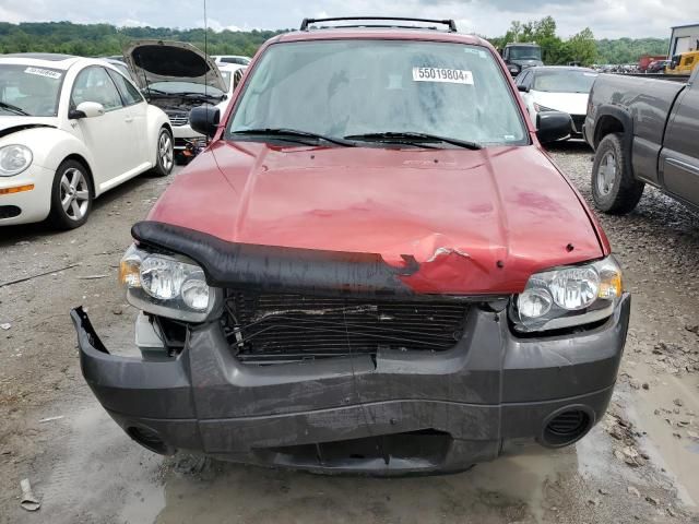 2007 Ford Escape XLT