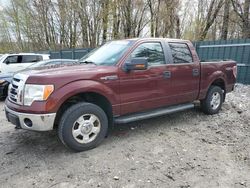2009 Ford F150 Supercrew for sale in Candia, NH