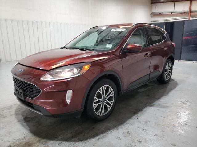 2021 Ford Escape SEL