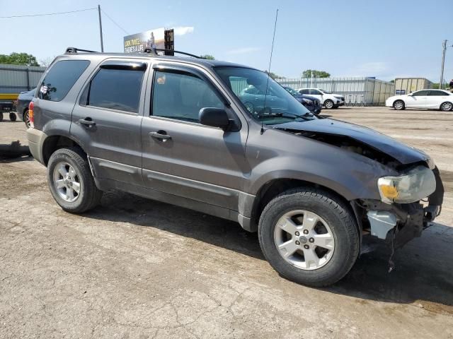 2006 Ford Escape XLT