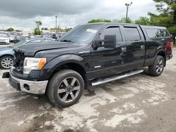 Salvage cars for sale from Copart Lexington, KY: 2013 Ford F150 Supercrew