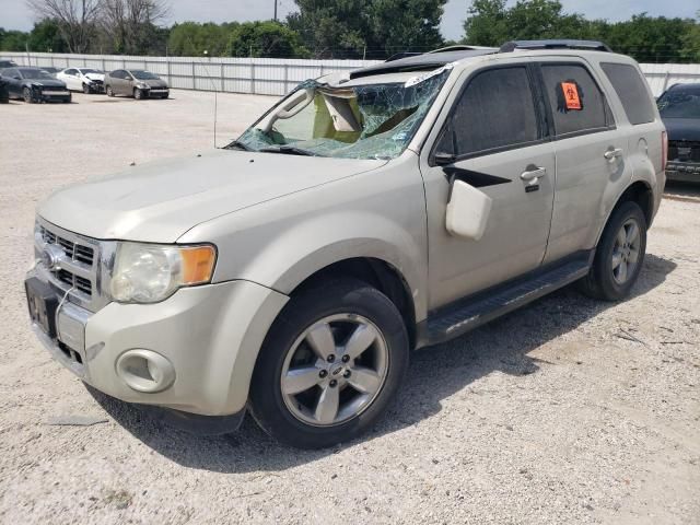 2009 Ford Escape Limited