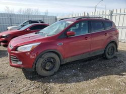 2013 Ford Escape SE for sale in Nisku, AB