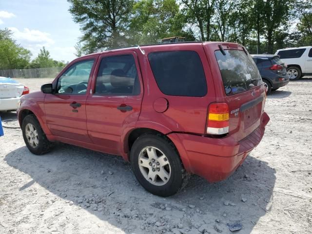 2007 Ford Escape XLT