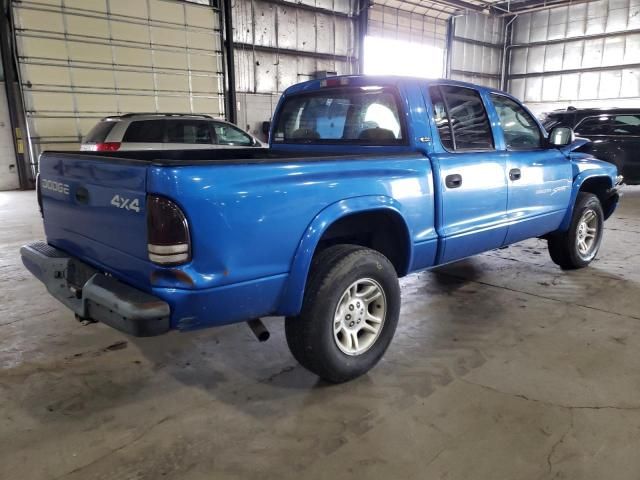 2001 Dodge Dakota Quattro