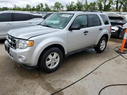 2012 Ford Escape XLT en venta en Bridgeton, MO