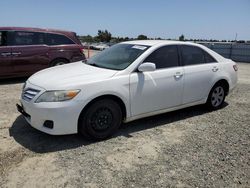 2010 Toyota Camry Base en venta en Antelope, CA