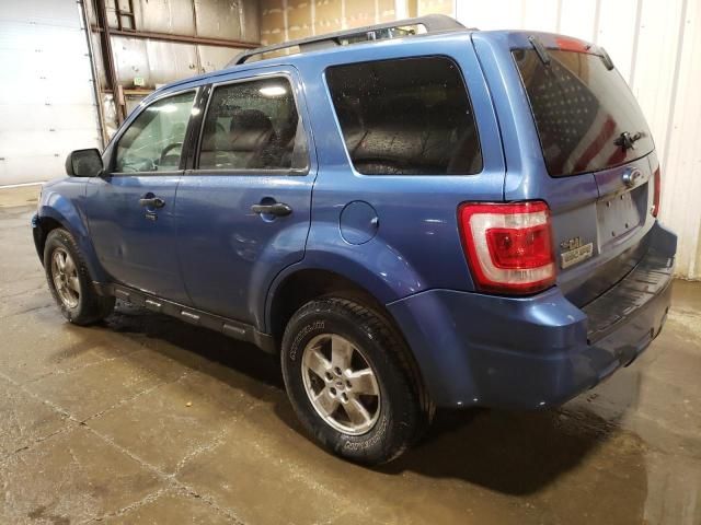 2009 Ford Escape XLT