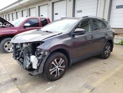 Salvage cars for sale from Copart Louisville, KY: 2017 Toyota Rav4 LE