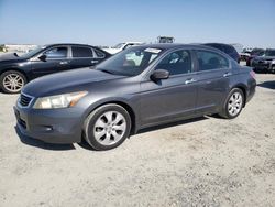 Honda salvage cars for sale: 2009 Honda Accord EXL