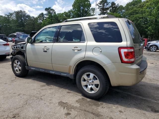 2011 Ford Escape Limited