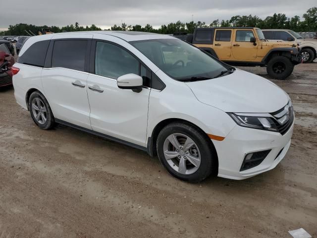 2020 Honda Odyssey EXL