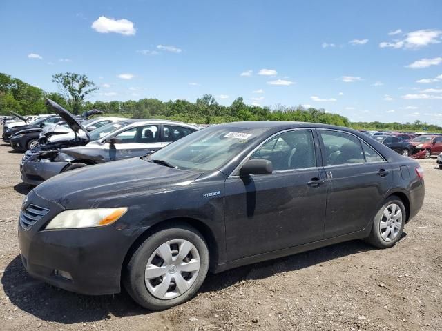 2009 Toyota Camry Hybrid