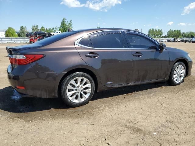 2013 Lexus ES 300H