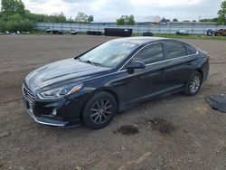 2019 Hyundai Sonata SE en venta en Columbia Station, OH