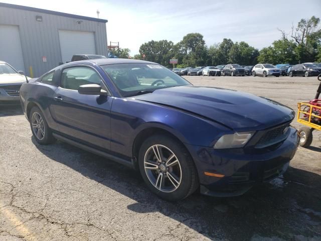 2010 Ford Mustang