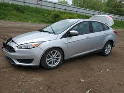 2017 Ford Focus SE for sale in Davison, MI