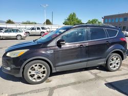 Ford Escape sel Vehiculos salvage en venta: 2013 Ford Escape SEL