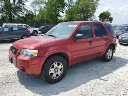 2007 Ford Escape XLT for sale in Cicero, IN