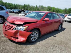 Toyota salvage cars for sale: 2007 Toyota Camry CE