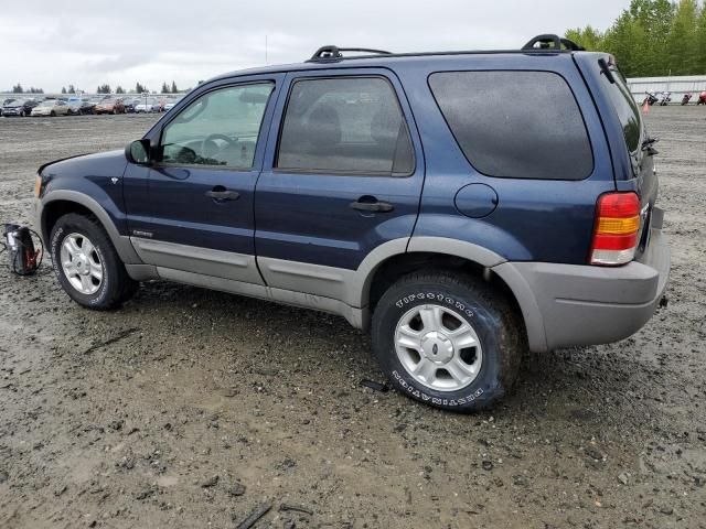 2002 Ford Escape XLT