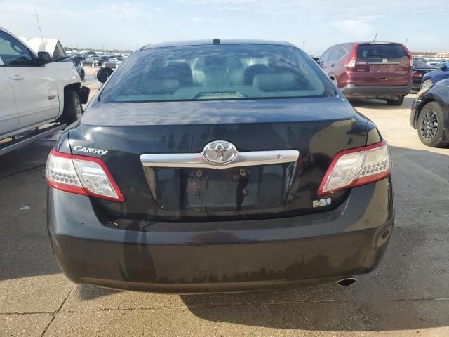 2010 Toyota Camry Hybrid