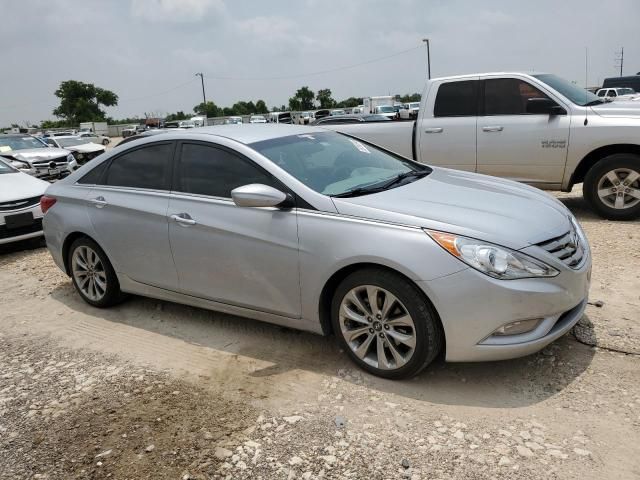 2011 Hyundai Sonata SE