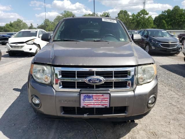 2012 Ford Escape XLT