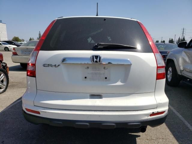 2010 Honda CR-V EX