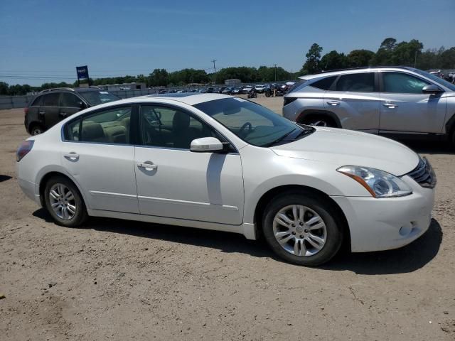 2010 Nissan Altima Base