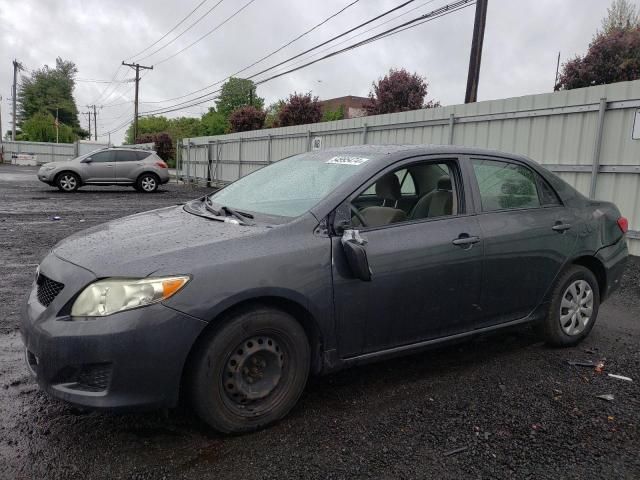 2009 Toyota Corolla Base