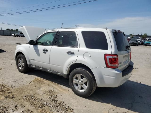 2011 Ford Escape Hybrid