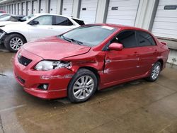 2010 Toyota Corolla Base en venta en Louisville, KY