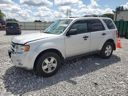 Ford salvage cars for sale: 2011 Ford Escape XLT