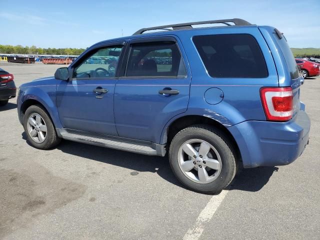 2009 Ford Escape XLT