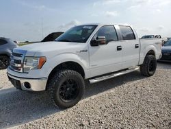 Vehiculos salvage en venta de Copart Temple, TX: 2013 Ford F150 Supercrew