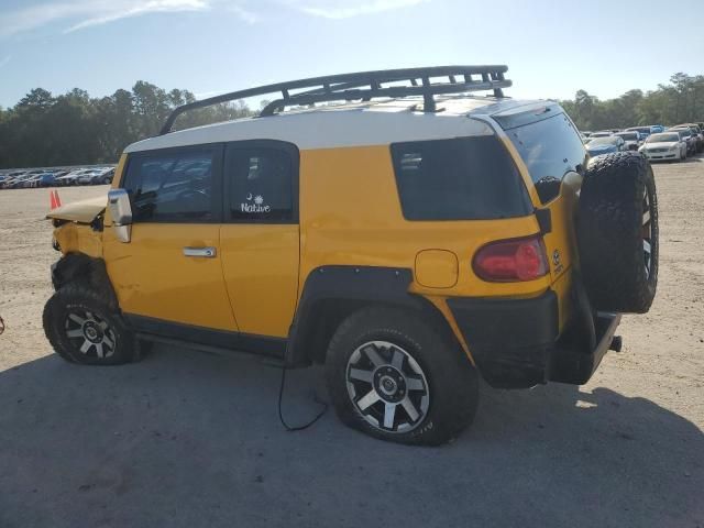 2007 Toyota FJ Cruiser