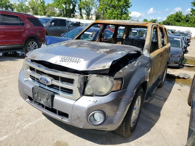 2008 Ford Escape XLT