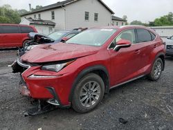 Salvage cars for sale from Copart York Haven, PA: 2021 Lexus NX 300 Base