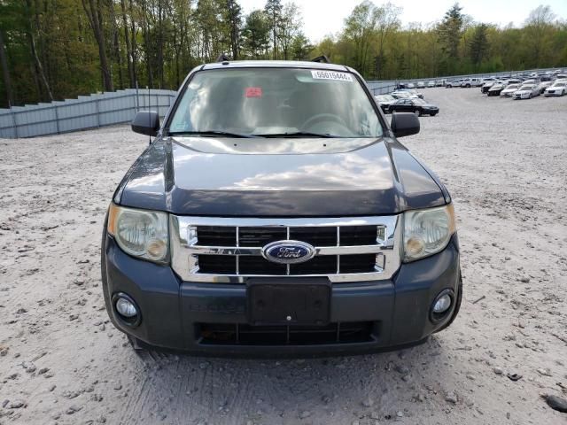 2008 Ford Escape XLT