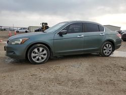 Honda salvage cars for sale: 2008 Honda Accord EXL