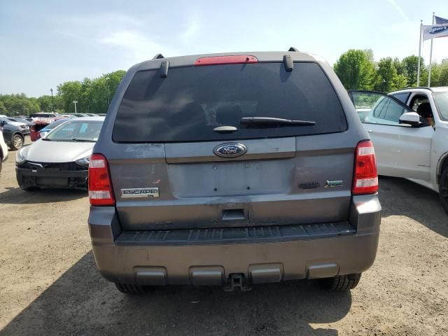 2011 Ford Escape XLT