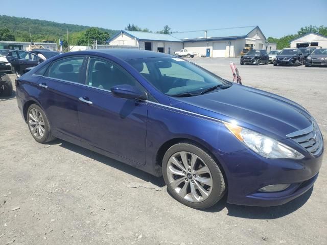 2013 Hyundai Sonata SE