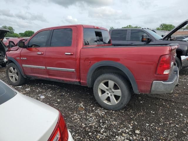 2010 Dodge RAM 1500