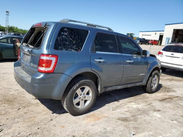 2011 Ford Escape Hybrid