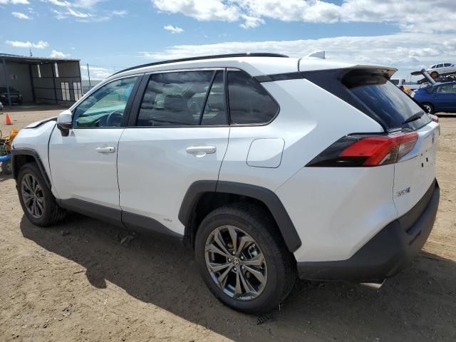 2023 Toyota Rav4 XLE Premium