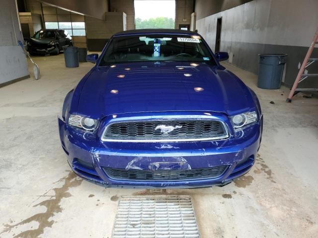 2013 Ford Mustang