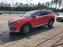 2023 Hyundai Santa FE SEL Premium en venta en Harleyville, SC