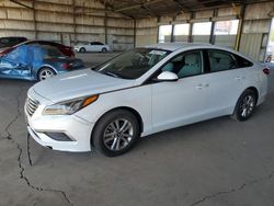 2017 Hyundai Sonata SE en venta en Phoenix, AZ