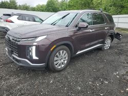 Hyundai Palisade Vehiculos salvage en venta: 2024 Hyundai Palisade SEL